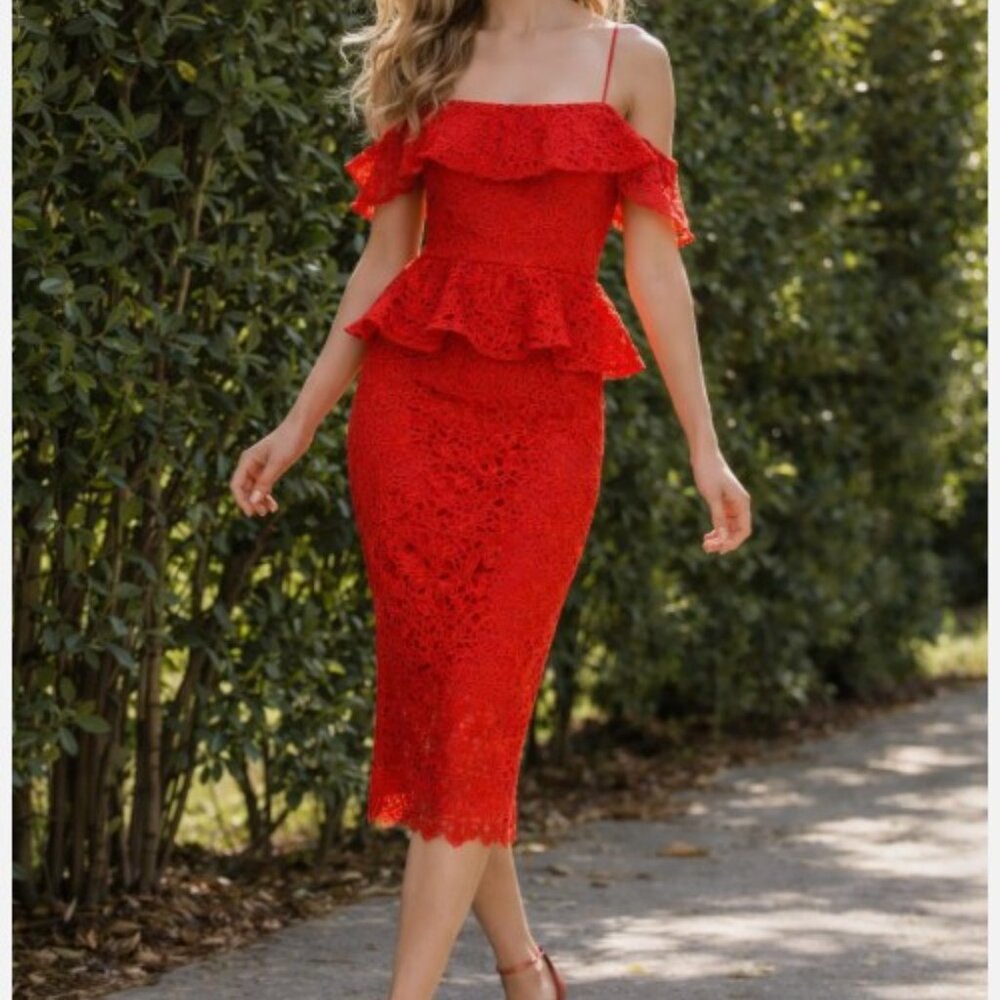 NWT Muse by Marchesa Amaryllis Lace Dress